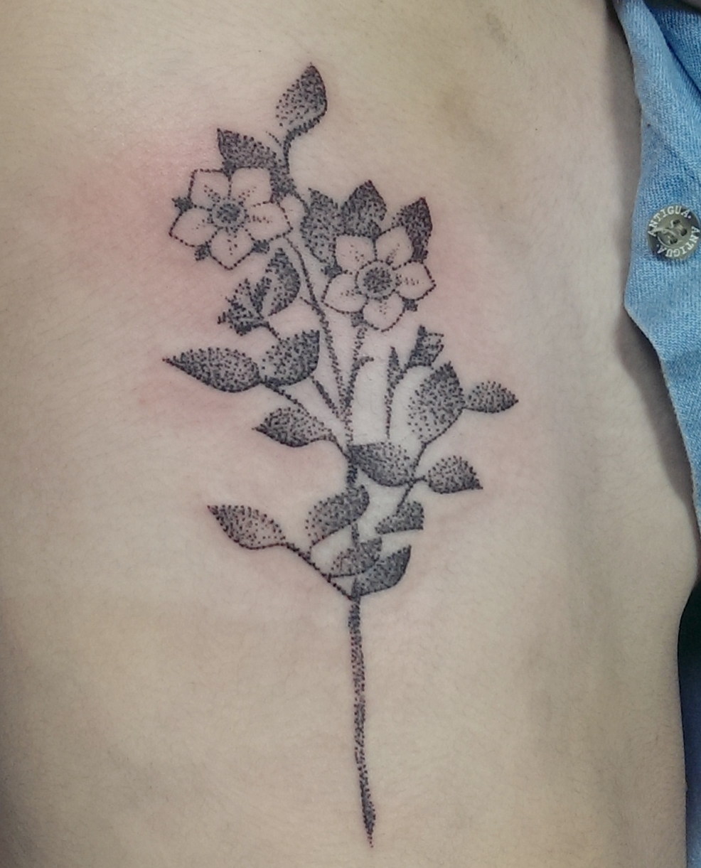 IMAG6069.cropped
